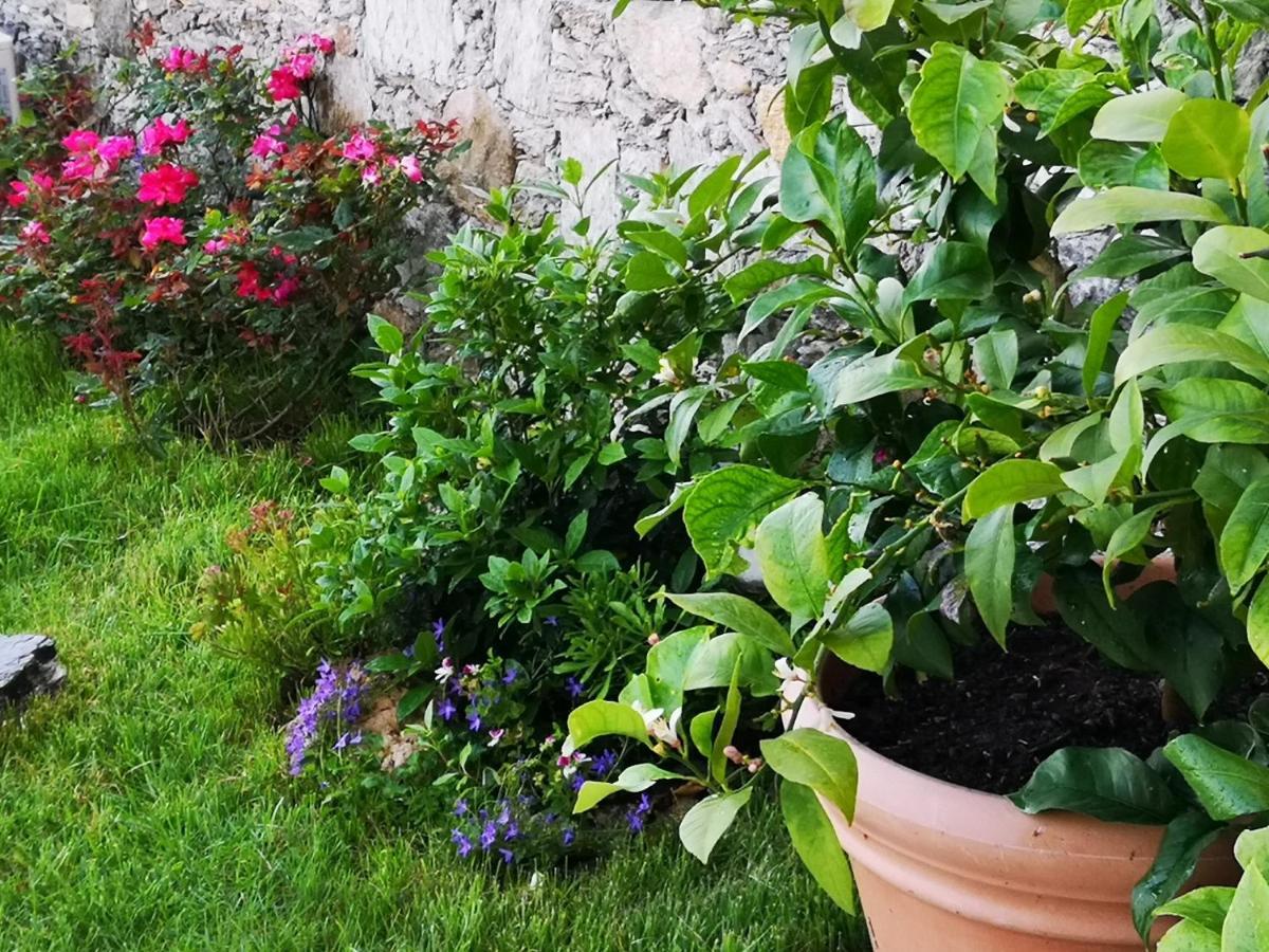 B&B Ca' Du Brigidin Tovo San Giacomo Exterior foto