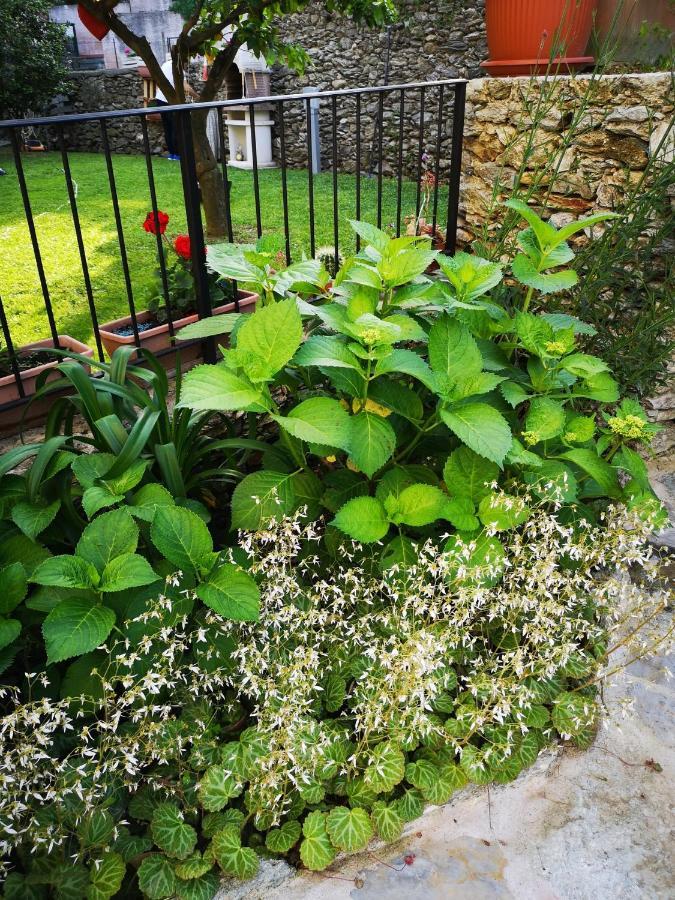 B&B Ca' Du Brigidin Tovo San Giacomo Exterior foto