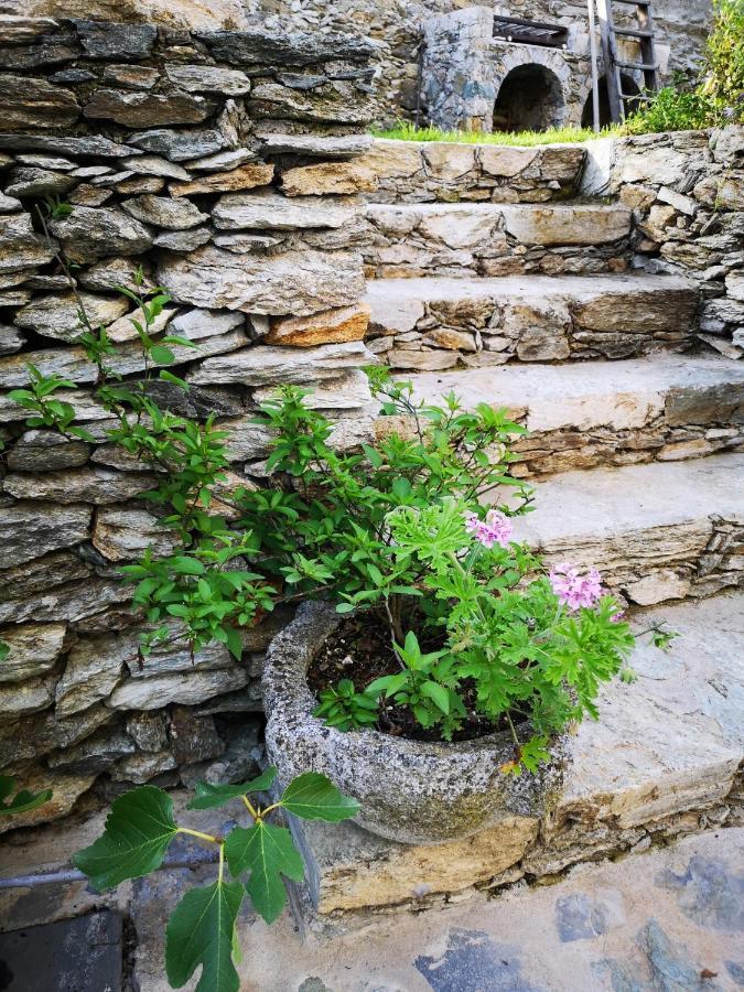 B&B Ca' Du Brigidin Tovo San Giacomo Exterior foto